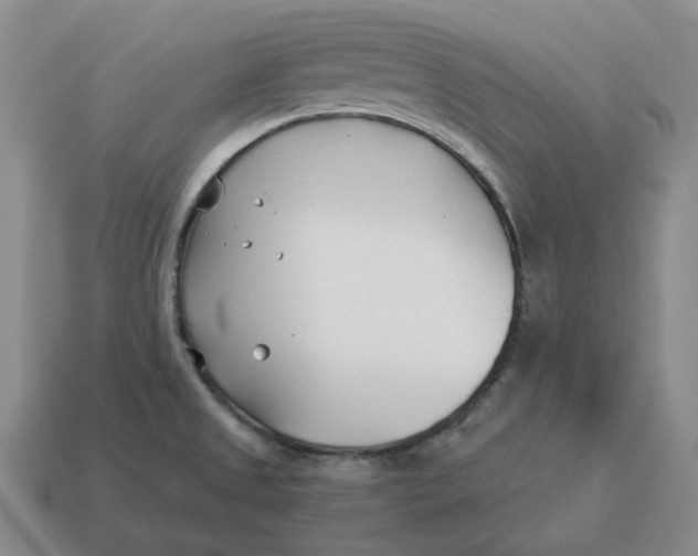 X0000114511525200911091119