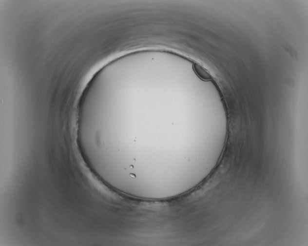 X0000114511526200911091119