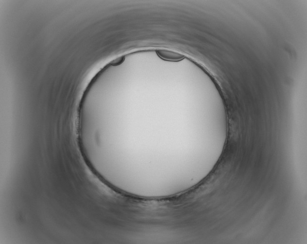 X0000114511527200911091119