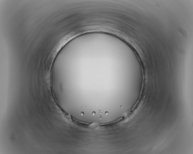 X0000114511529200911091119