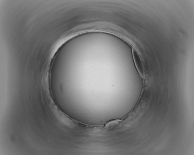 X0000114511530200911091119