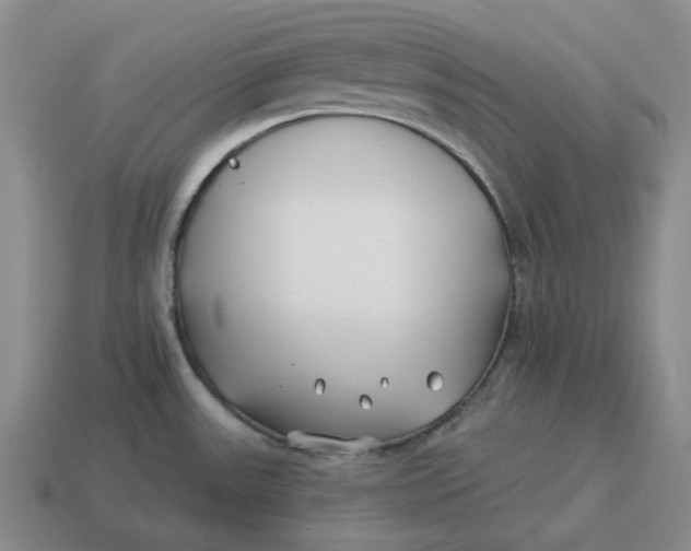 X0000114511531200911091119