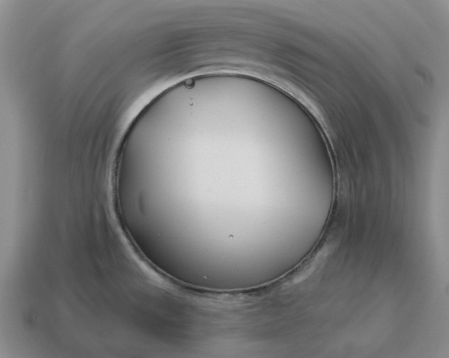 X0000114511533200911091119