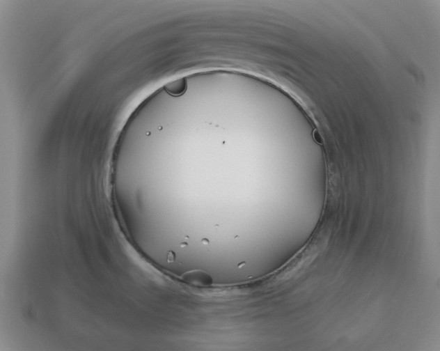 X0000114511535200911091119