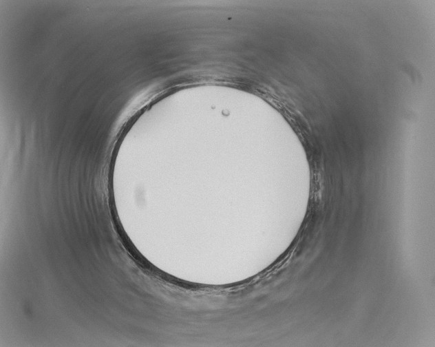 X0000114510004200911161305