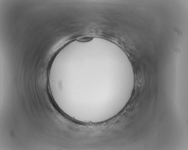 X0000114510005200911161305