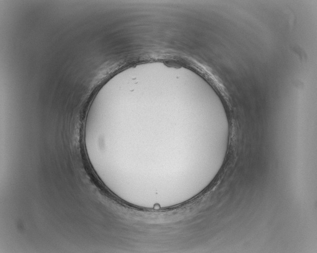 X0000114510010200911161305