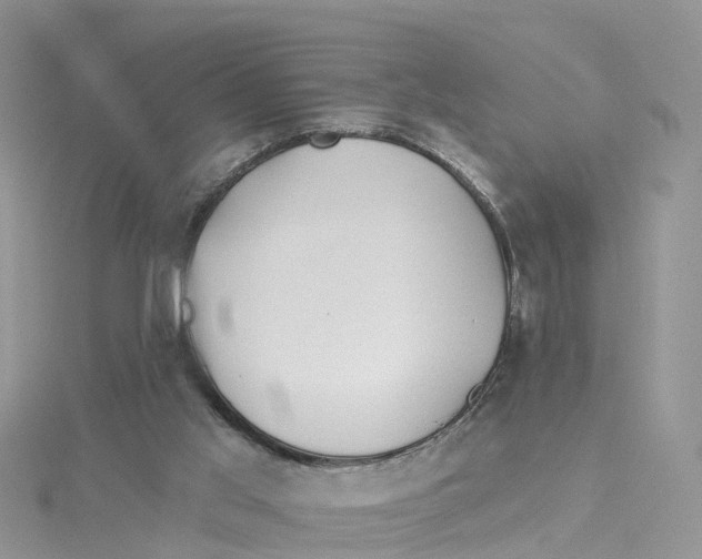 X0000114510013200911161305