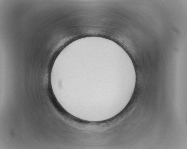 X0000114510016200911161305