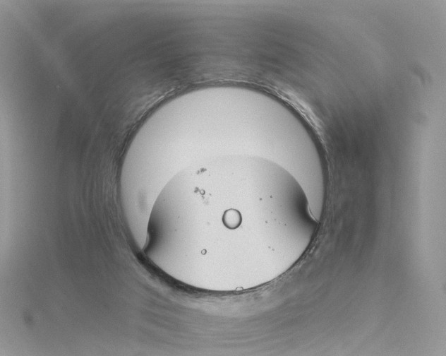 X0000114510017200911161305