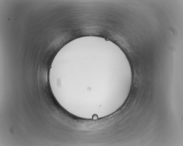 X0000114510021200911161304