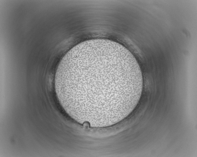 X0000114510026200911161304