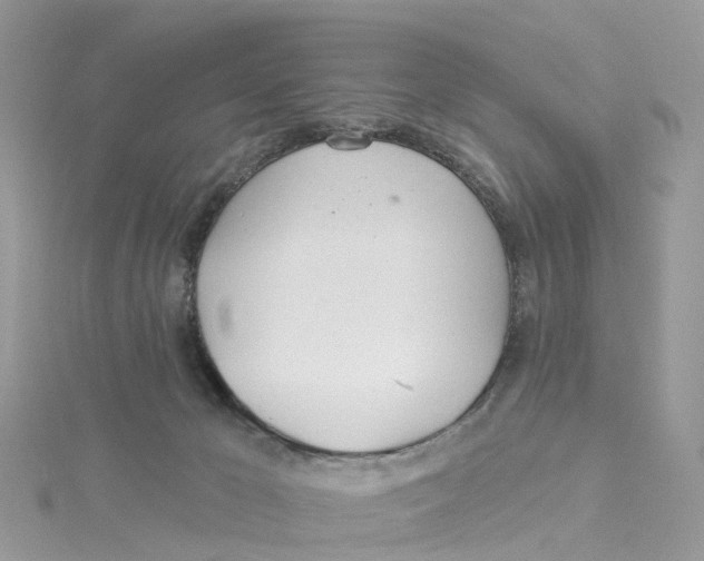 X0000114510029200911161304