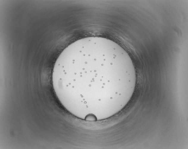 X0000114510030200911161304