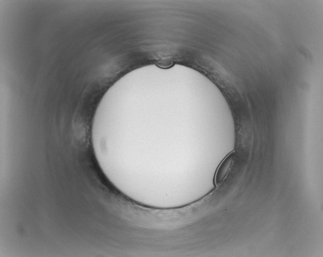 X0000114510031200911161304