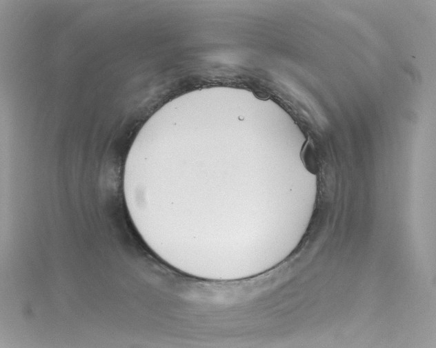 X0000114510033200911161304