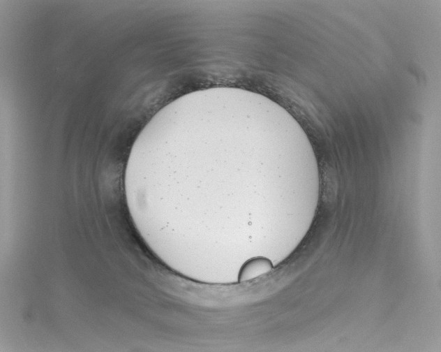 X0000114510034200911161304