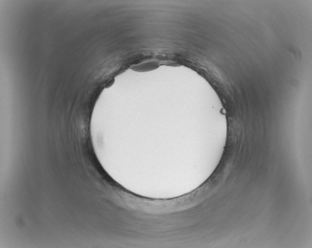 X0000114510039200911161304