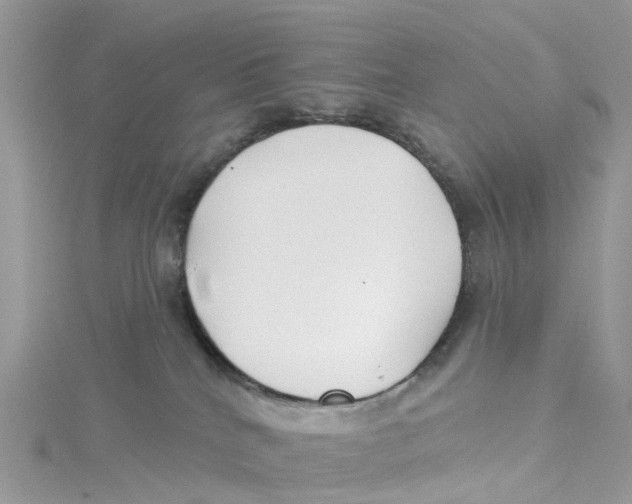 X0000114510040200911161304