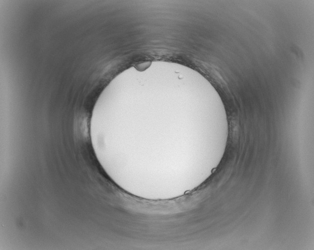 X0000114510042200911161304