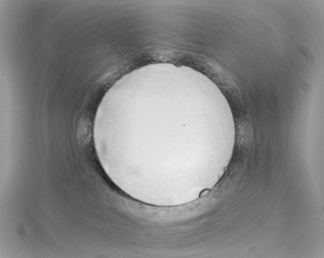 X0000114510043200911161304