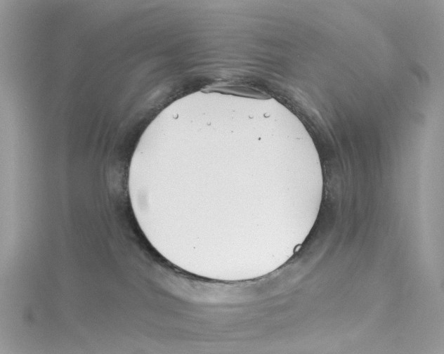 X0000114510044200911161304