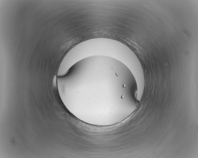 X0000114510047200911161304