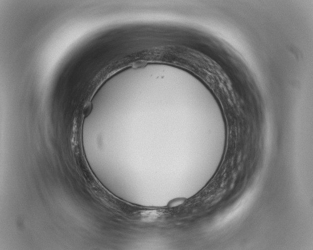 X0000114510050200911161304