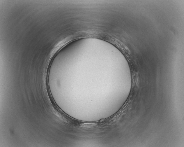 X0000114510051200911161304