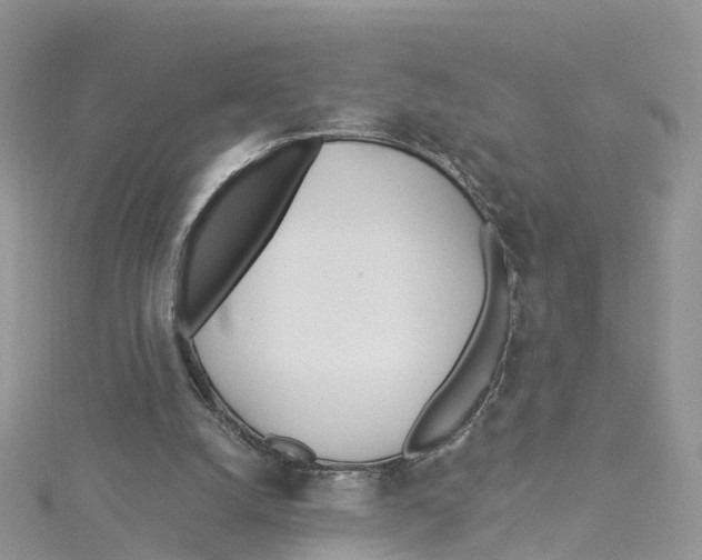 X0000114510056200911161304