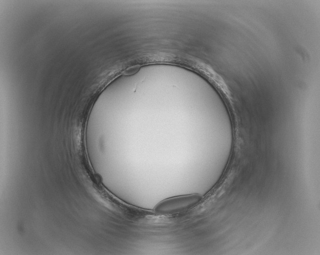 X0000114510057200911161304