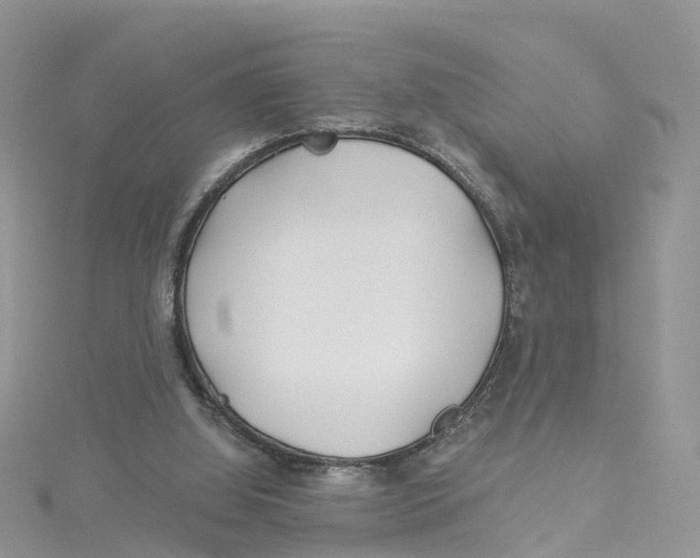 X0000114510060200911161304