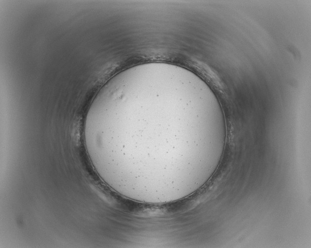 X0000114510065200911161304