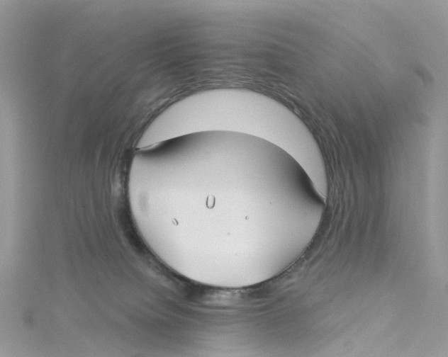 X0000114510084200911161304