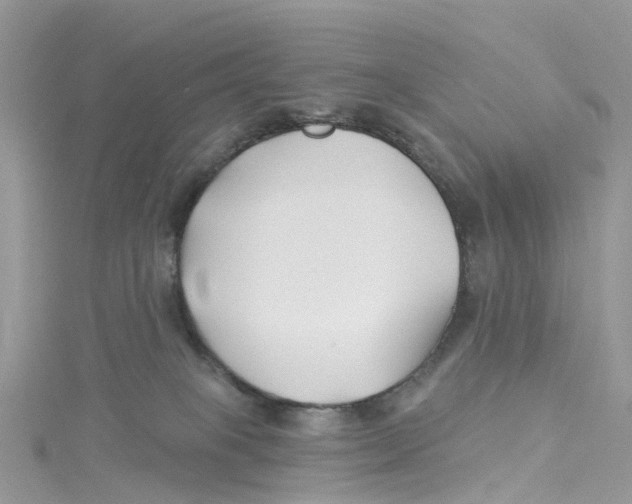 X0000114510085200911161304