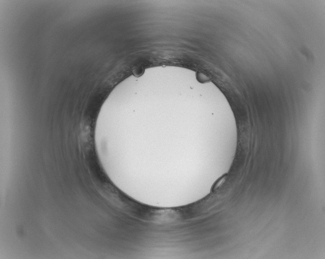 X0000114510087200911161304