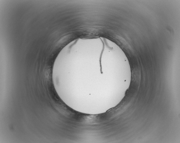 X0000114510092200911161304