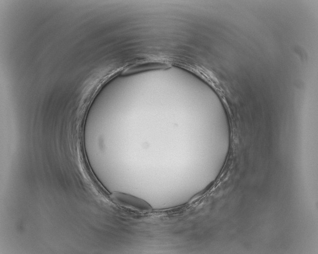 X0000114510097200911161304