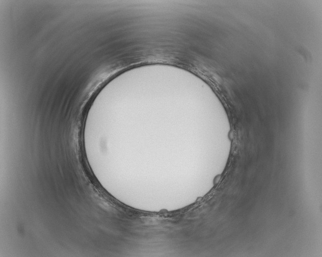 X0000114510098200911161304