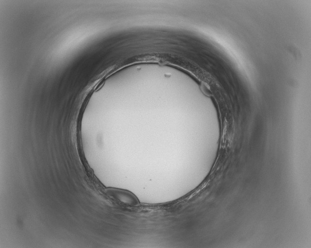 X0000114510099200911161303