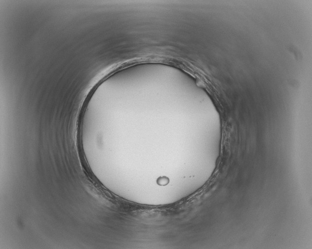 X0000114510100200911161303