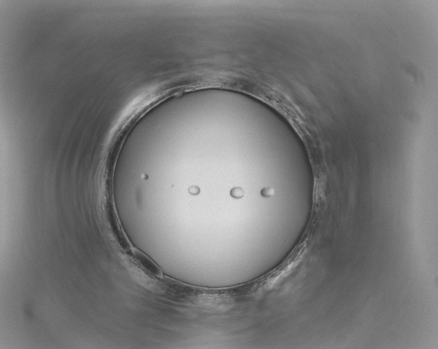 X0000114510101200911161303