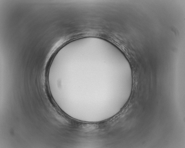 X0000114510102200911161303