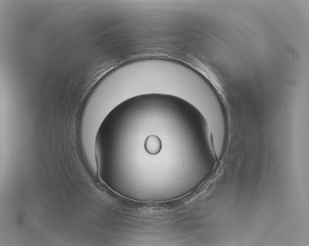 X0000114510105200911161303