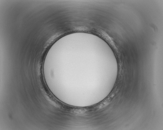 X0000114510106200911161303