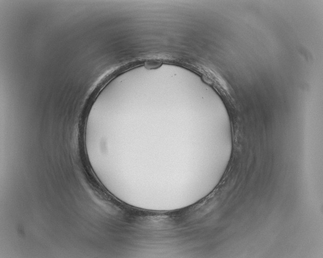 X0000114510108200911161303