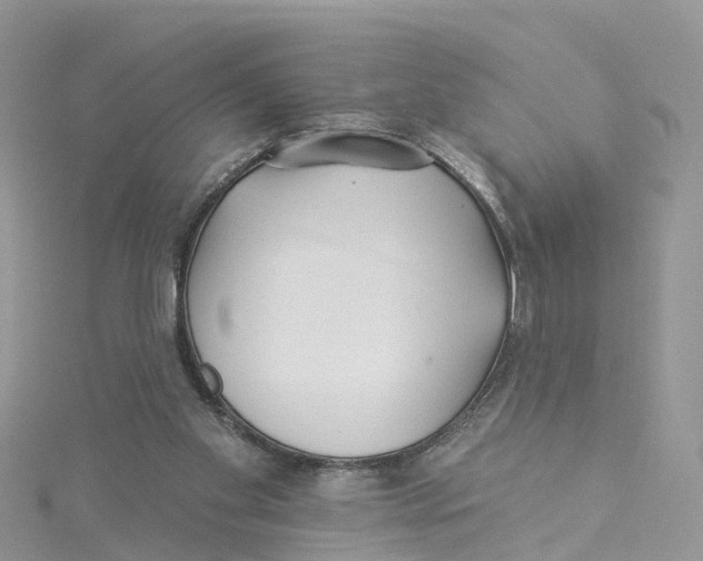 X0000114510109200911161303