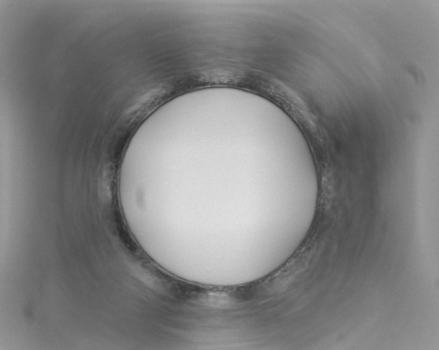 X0000114510114200911161303