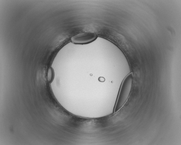 X0000114510116200911161303