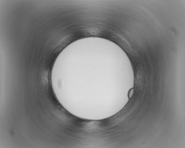 X0000114510122200911161303